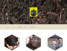 Tablet Screenshot of lombricor.com.mx